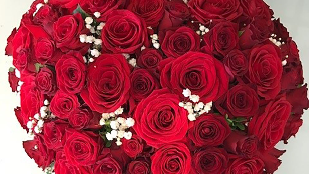 Roses rouges moyennes