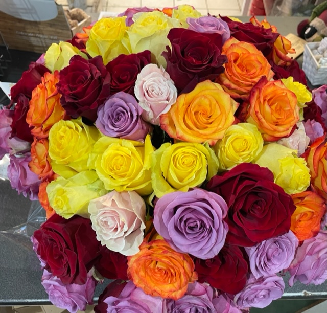 Roses de couleurs vives