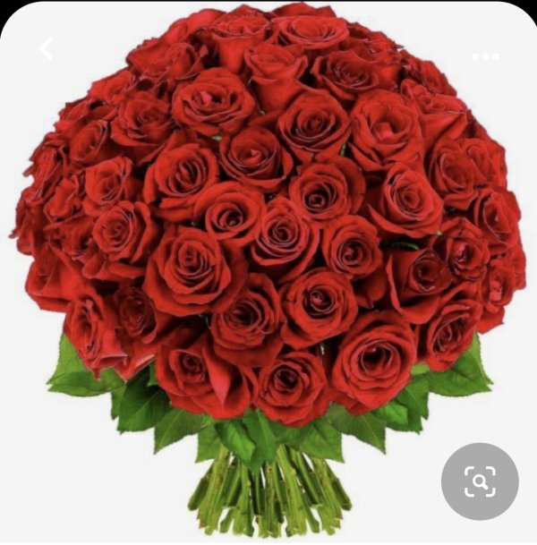 Roses rouges grand bouton