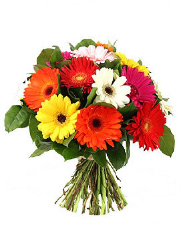 Brassée de gerberas variés suivant arrivages.