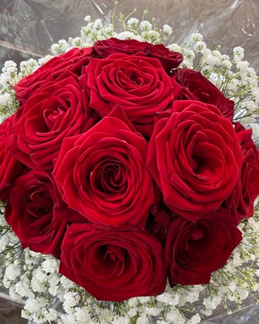 Roses rouges grand bouton