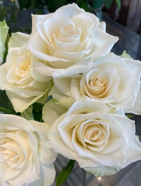 Roses blanches moyennes