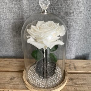 Porcelaine