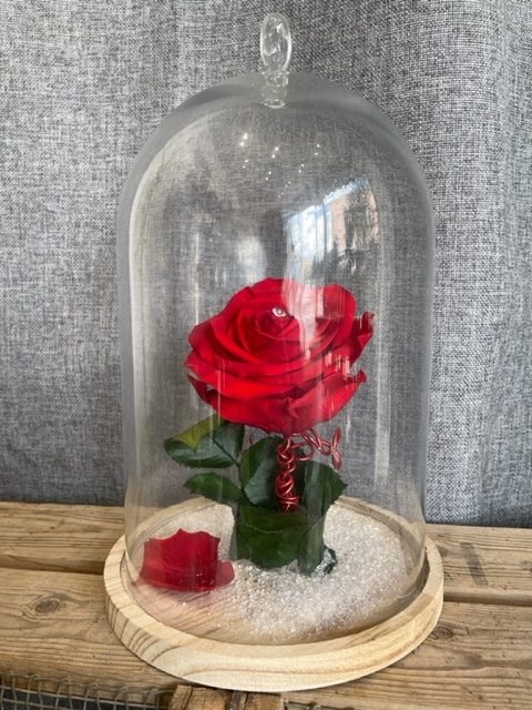 La belle et la bête