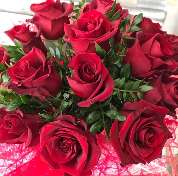 Roses rouges moyennes