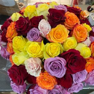 Roses de couleurs vives